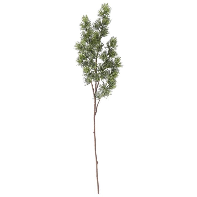 34.5 INCH CEDAR PINE BRANCH