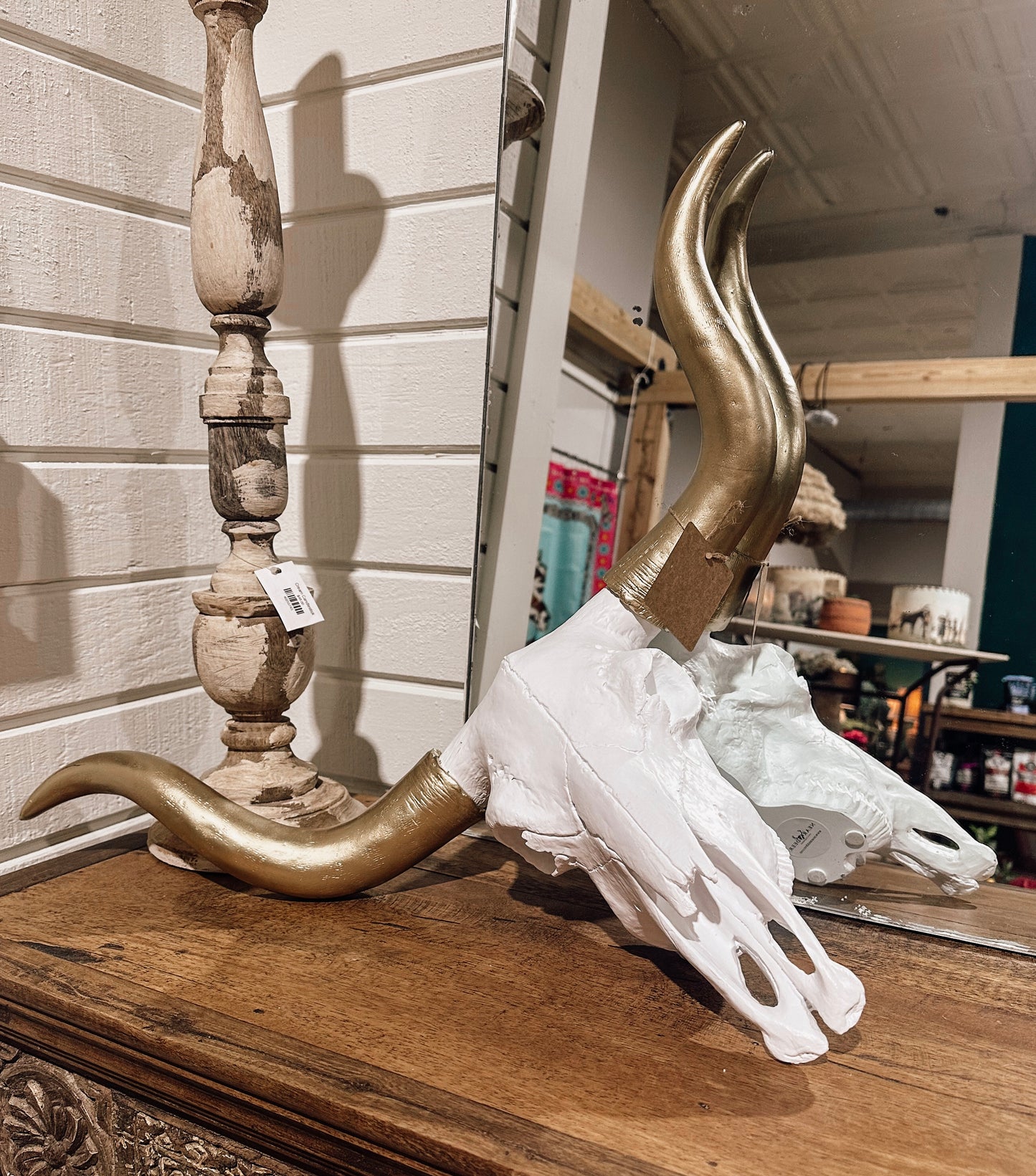 Cow Skull