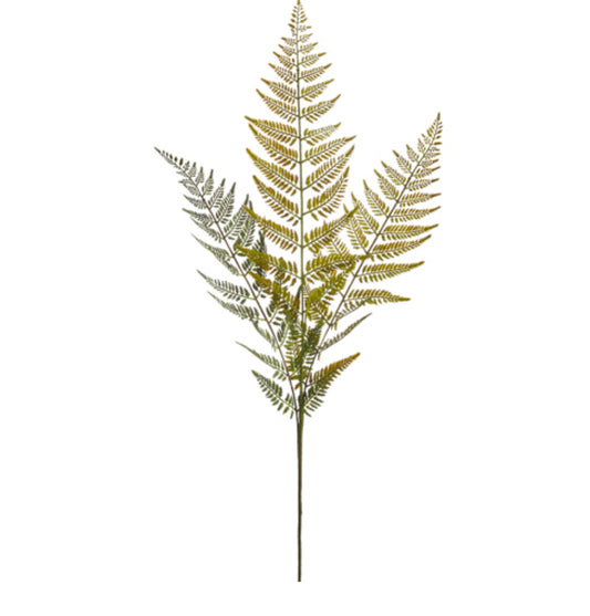 Fern Spray