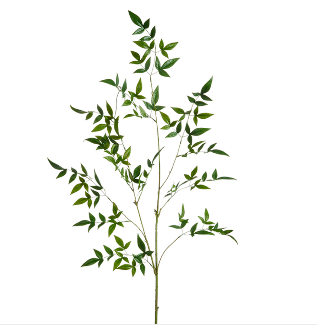 Green Leaf Branch