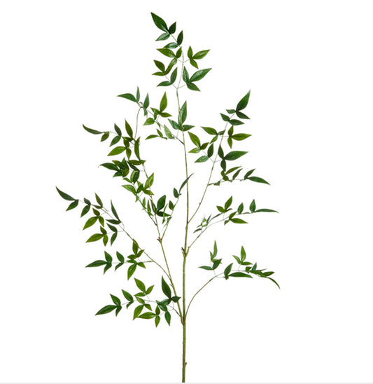 Green Leaf Branch