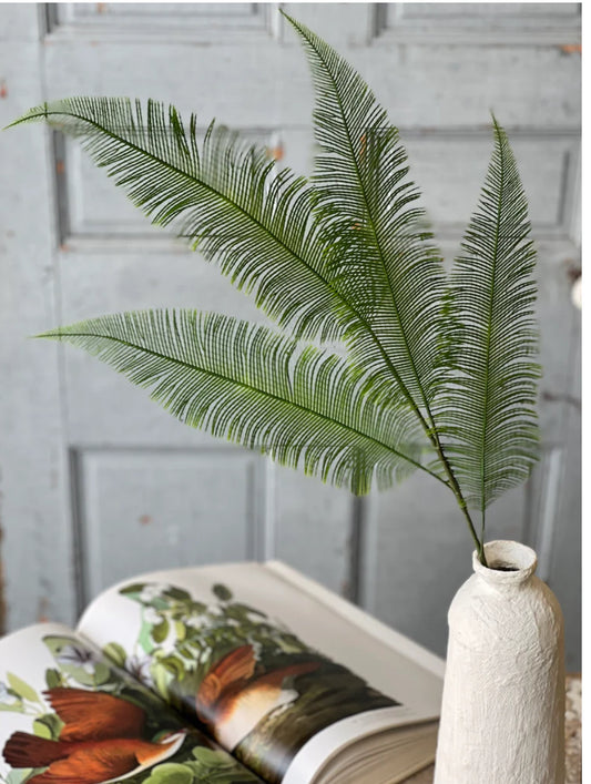 Quill Fern Spray
