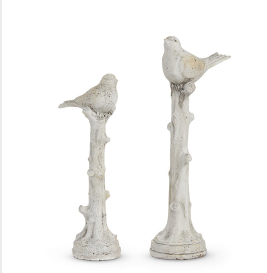 Birds On Perch
