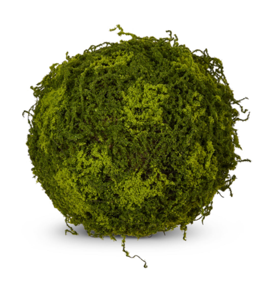 Moss Ball