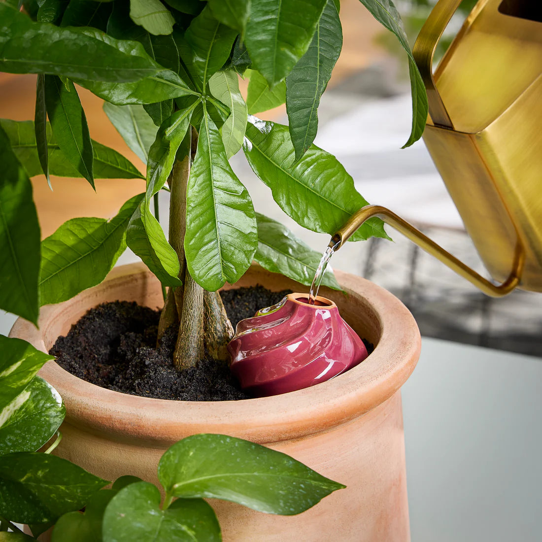 S+F Terracotta Watering Bulb