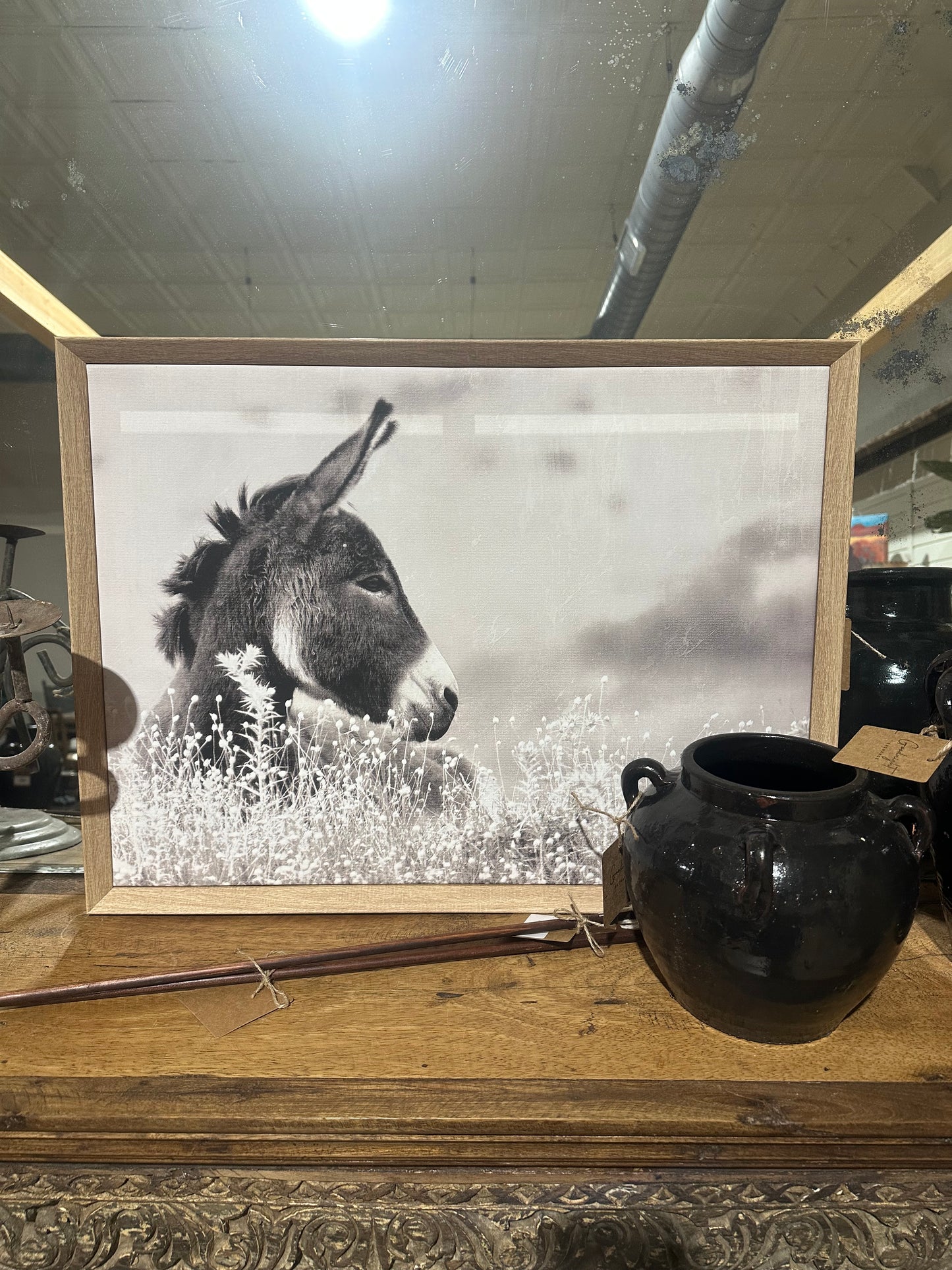Donkey Wall Art
