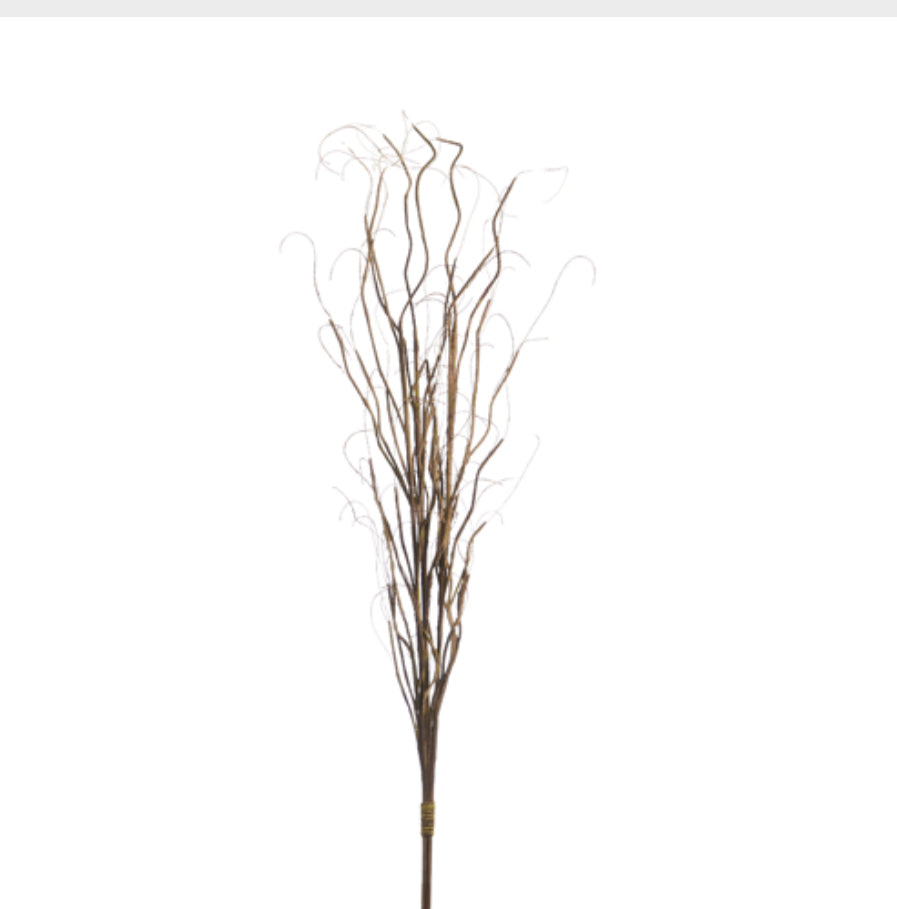 Curly Willow Bundle