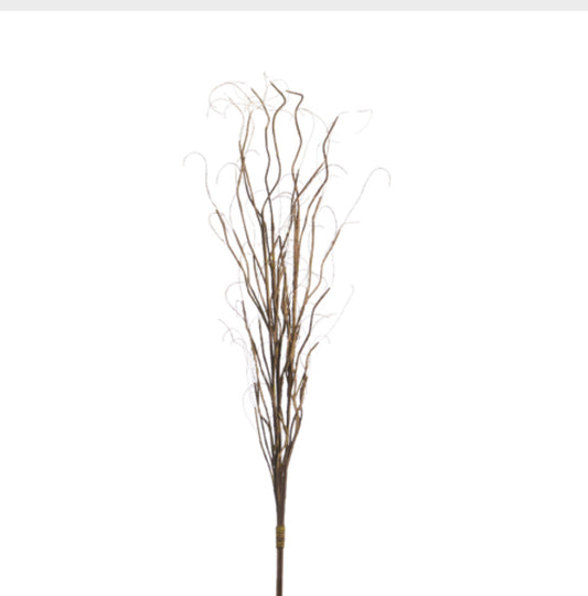 Curly Willow Bundle