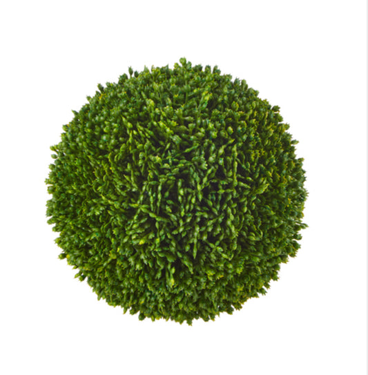 Sedum Ball