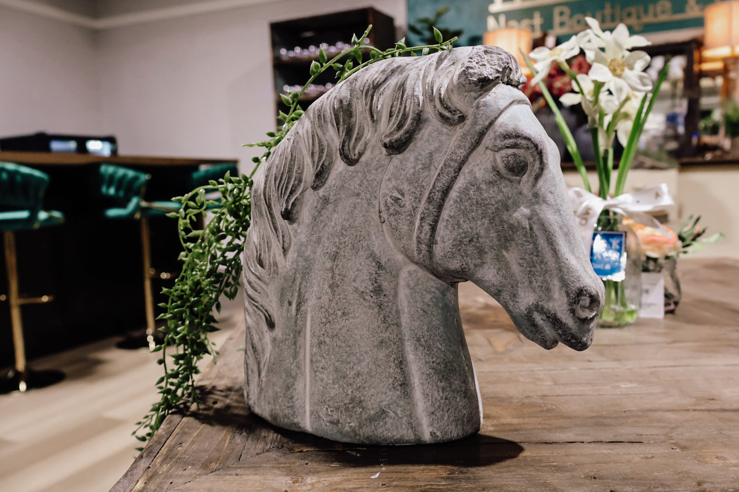 Horse Head