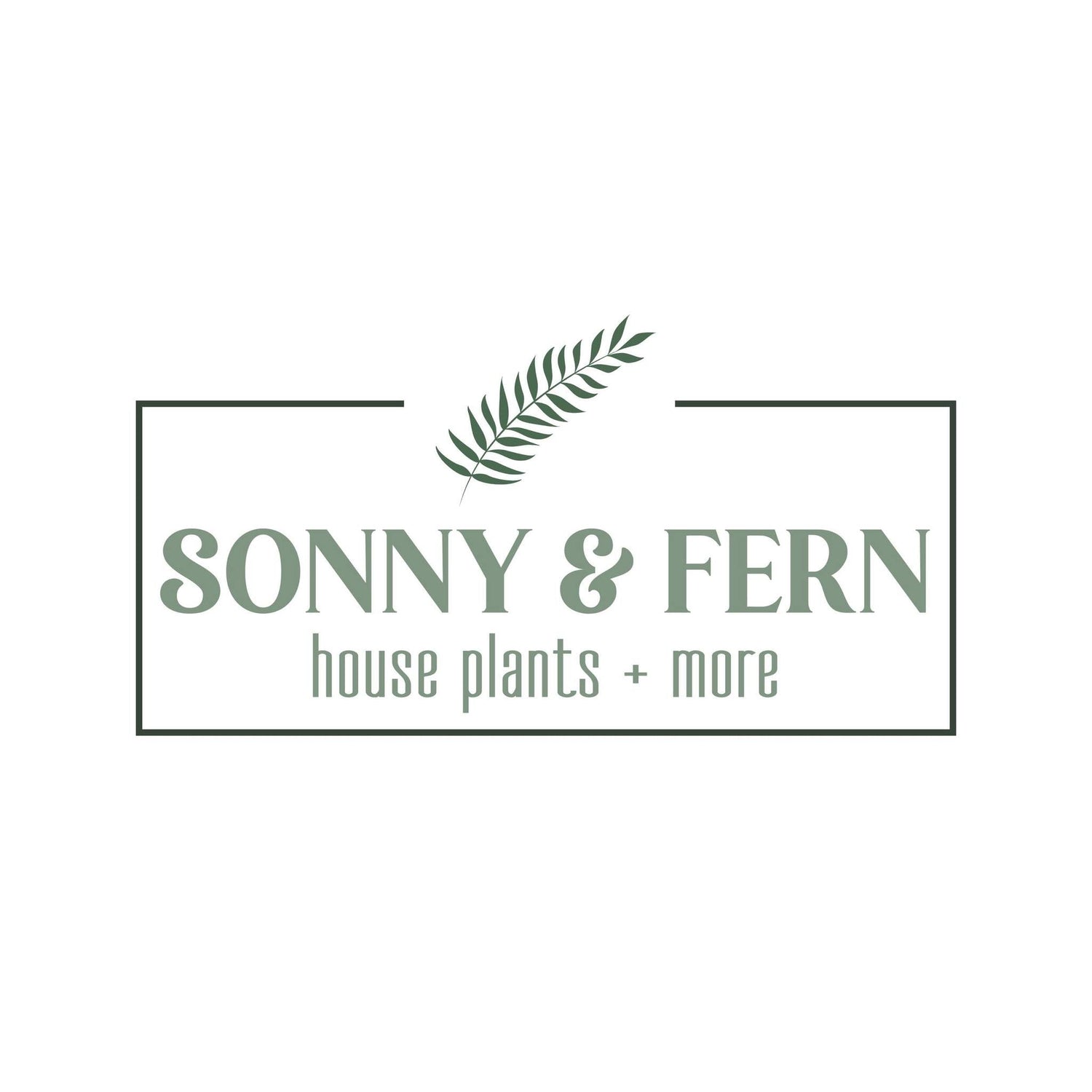 Sonny + Fern