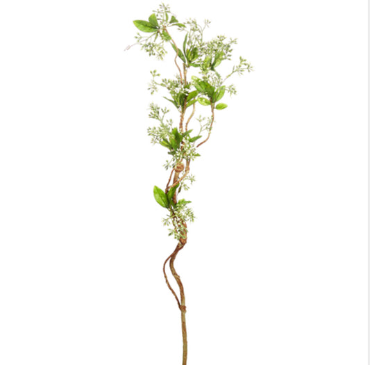 White Blossom Branch