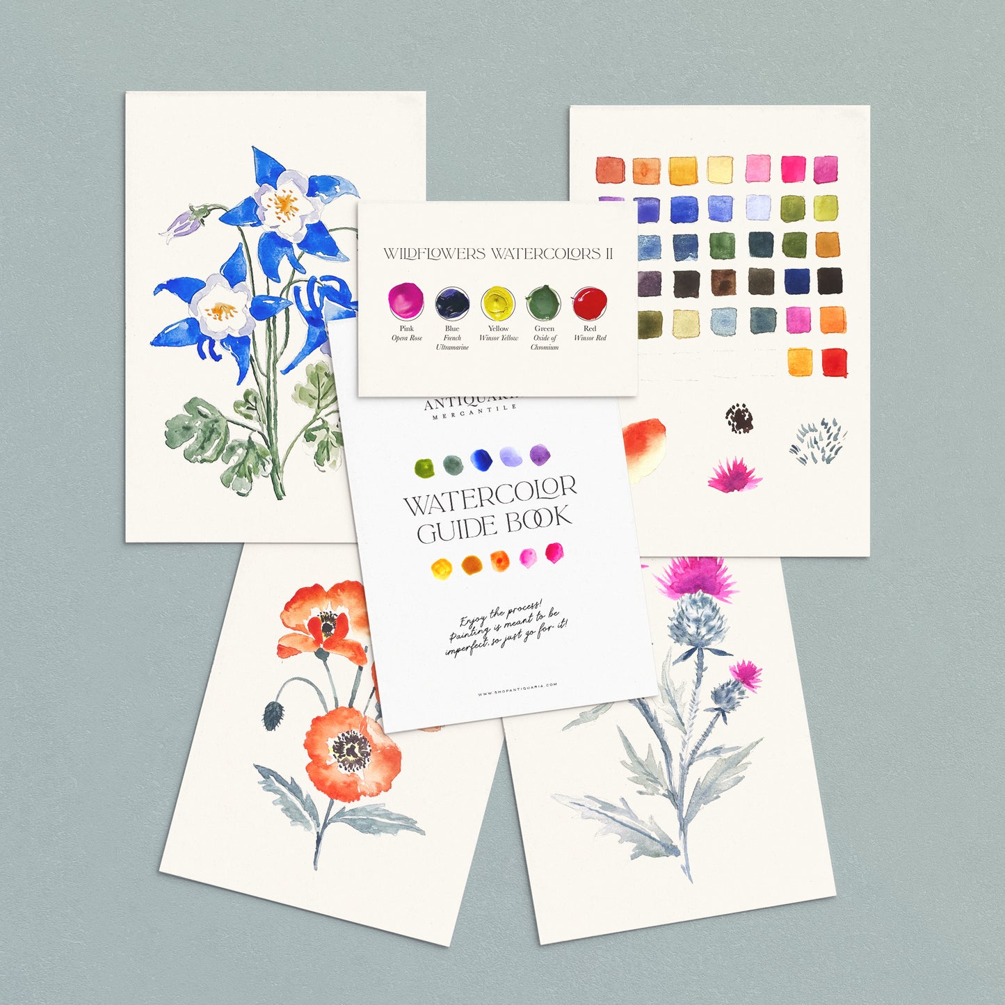 S+F Watercolor Painting Kit: Flowers No2