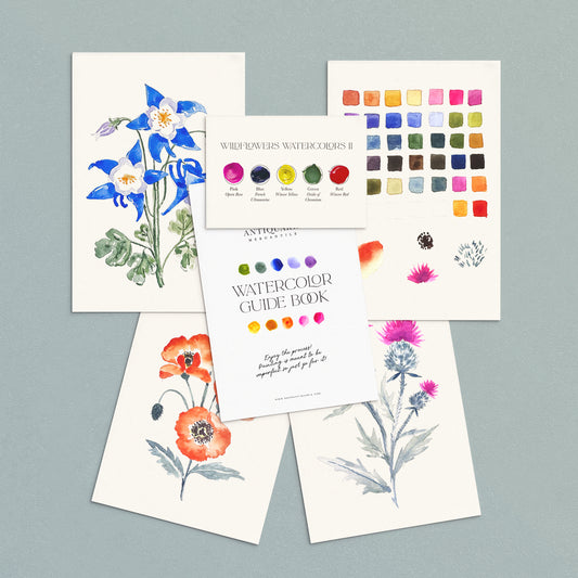 S+F Watercolor Painting Kit: Flowers No2