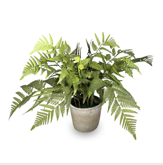 24” Potted Fern