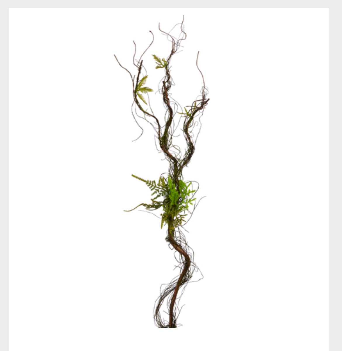 28” Branch