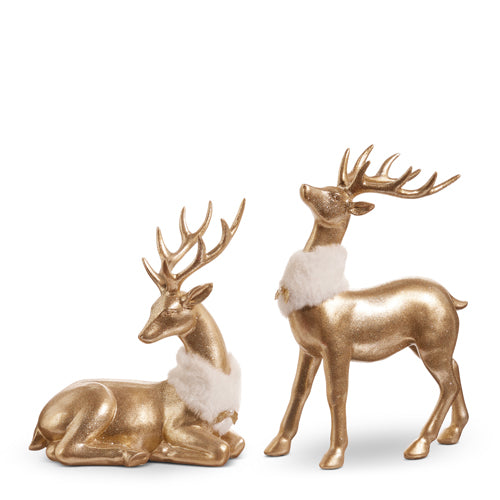 Gold Deer w/ Fur Collar