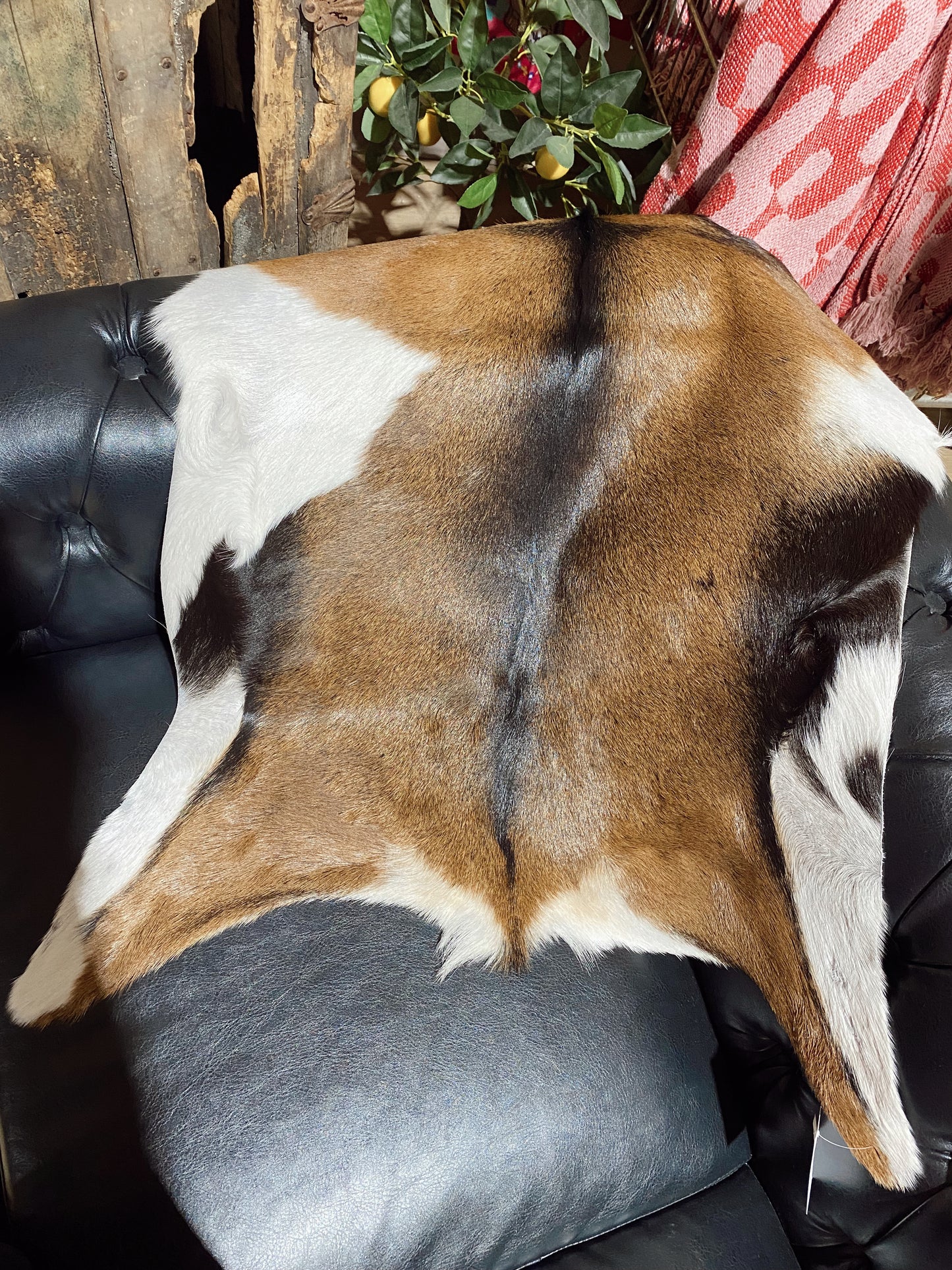 Goat Hide