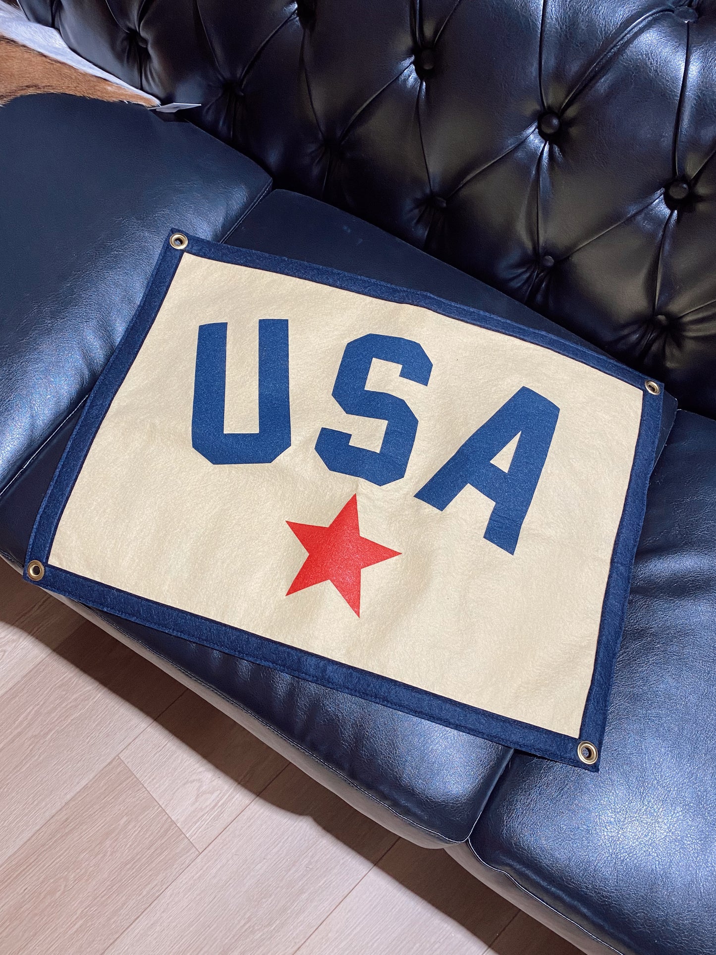 USA Flag