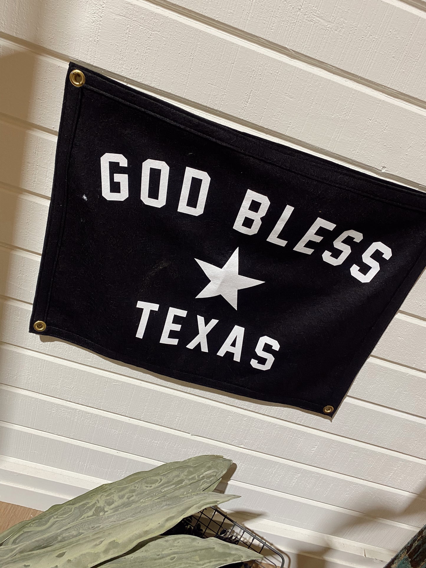 God Bless Texas