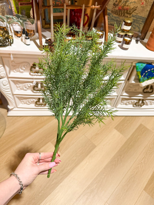 S+F Springeri Fern Pick