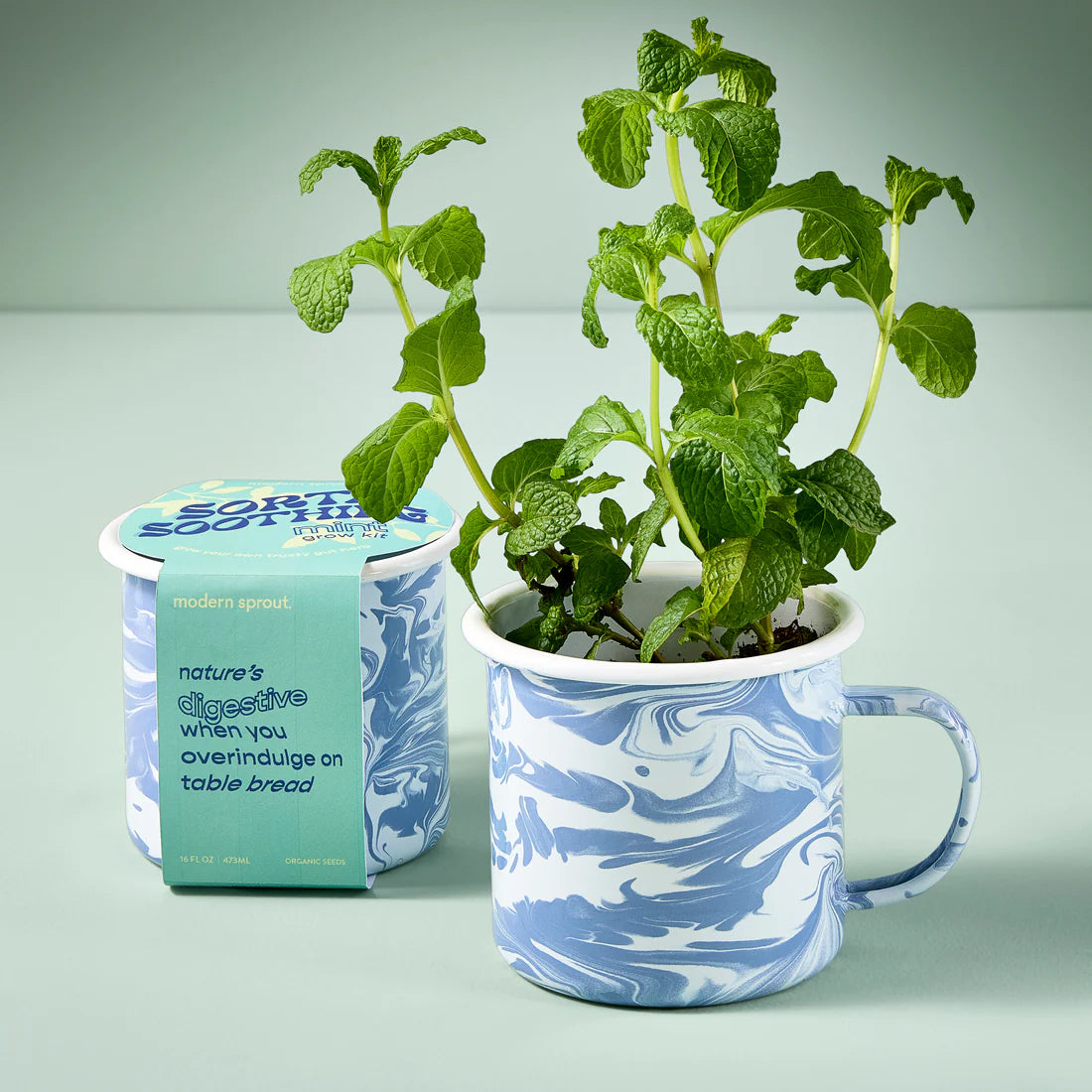 S+F Herb Mug Grow Kit
