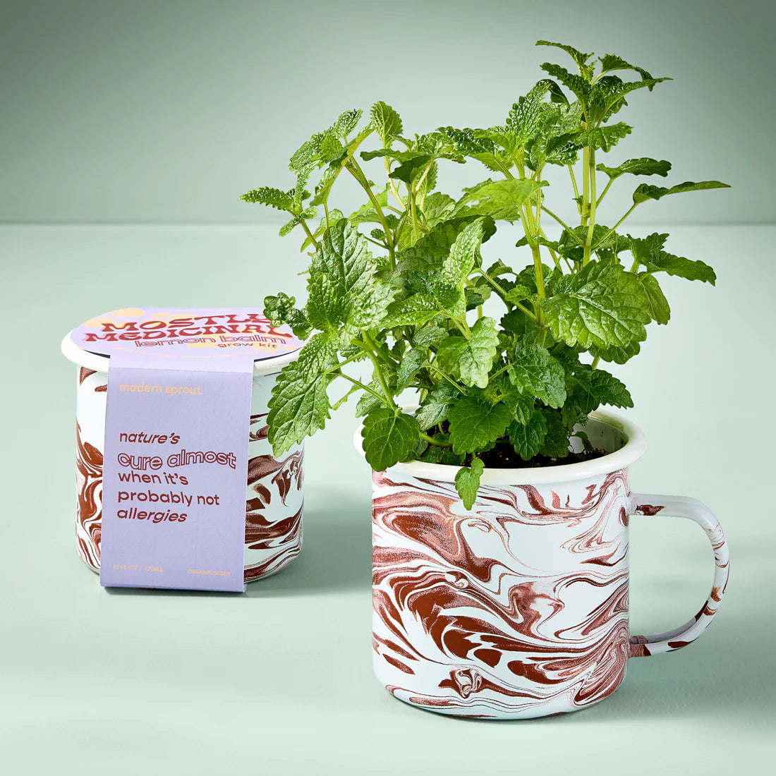 S+F Herb Mug Grow Kit