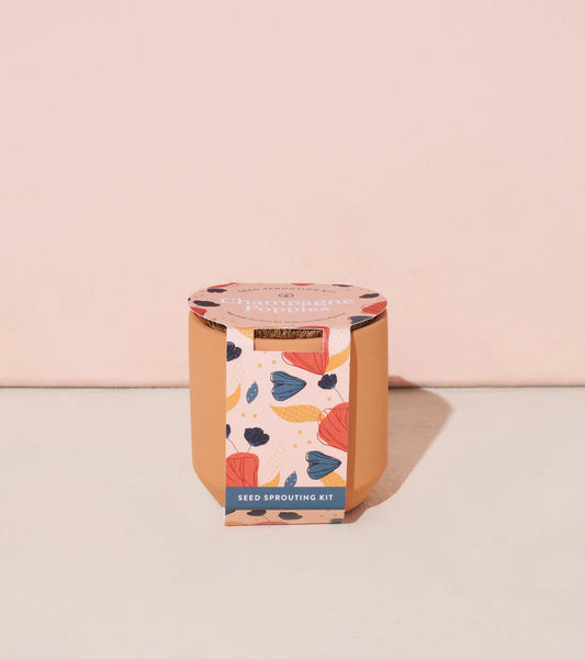 Tiny Terracotta Grow Kit