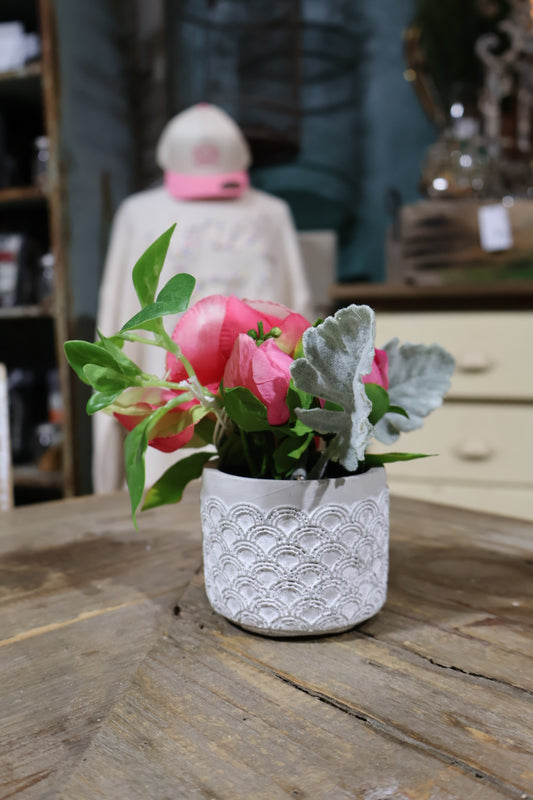 Peony in Cement Pot