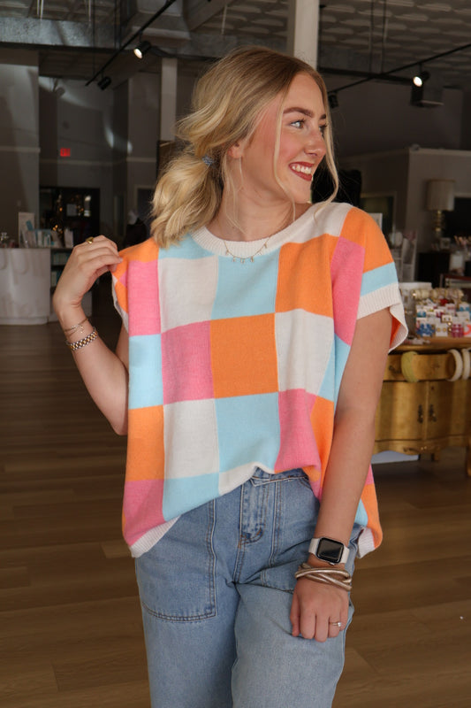 Multi Color Color Block Sweater Vest