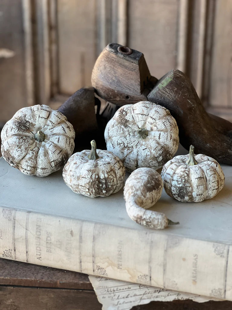 White Birch Pumpkins