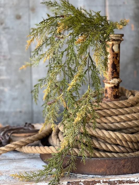 33" Prickly Pine Hanging