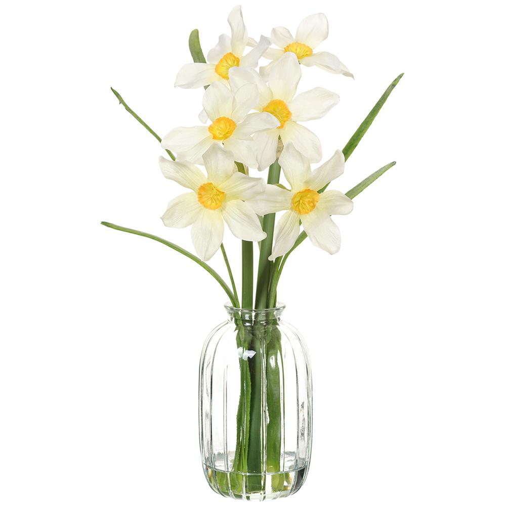 Daffodil in Glass Vase